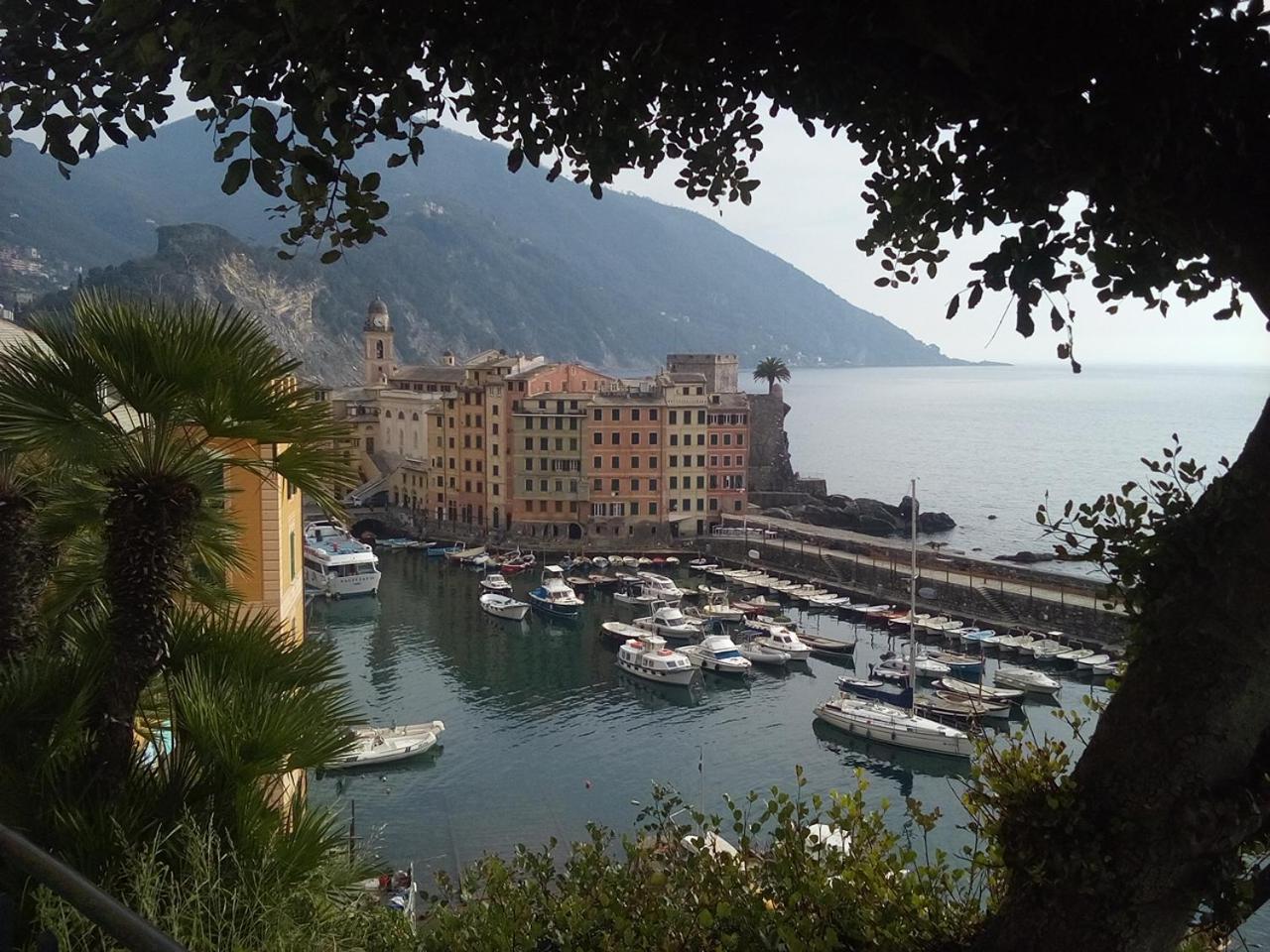 Apartament Casa Teresina A Camogli Zewnętrze zdjęcie